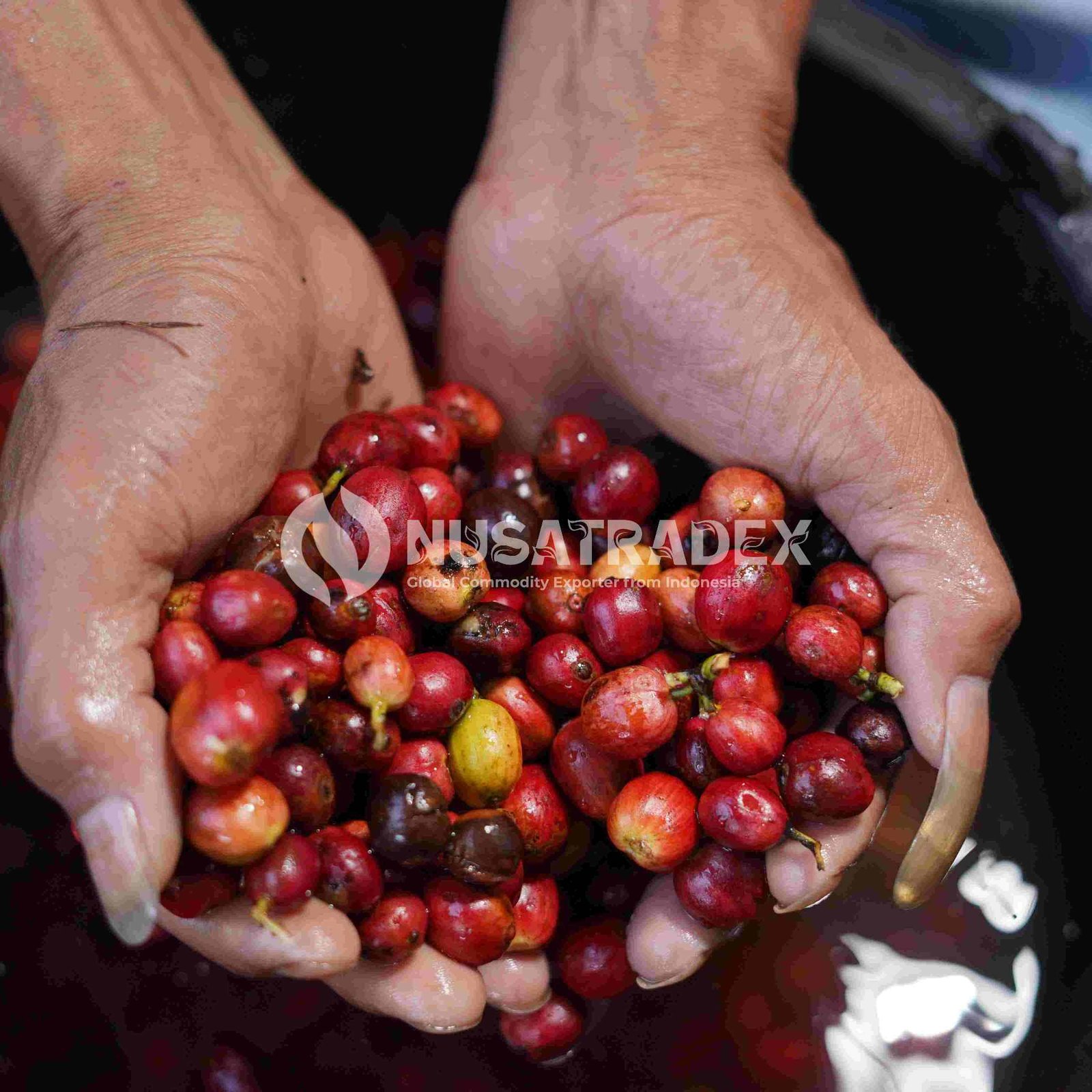 Farmer with produce