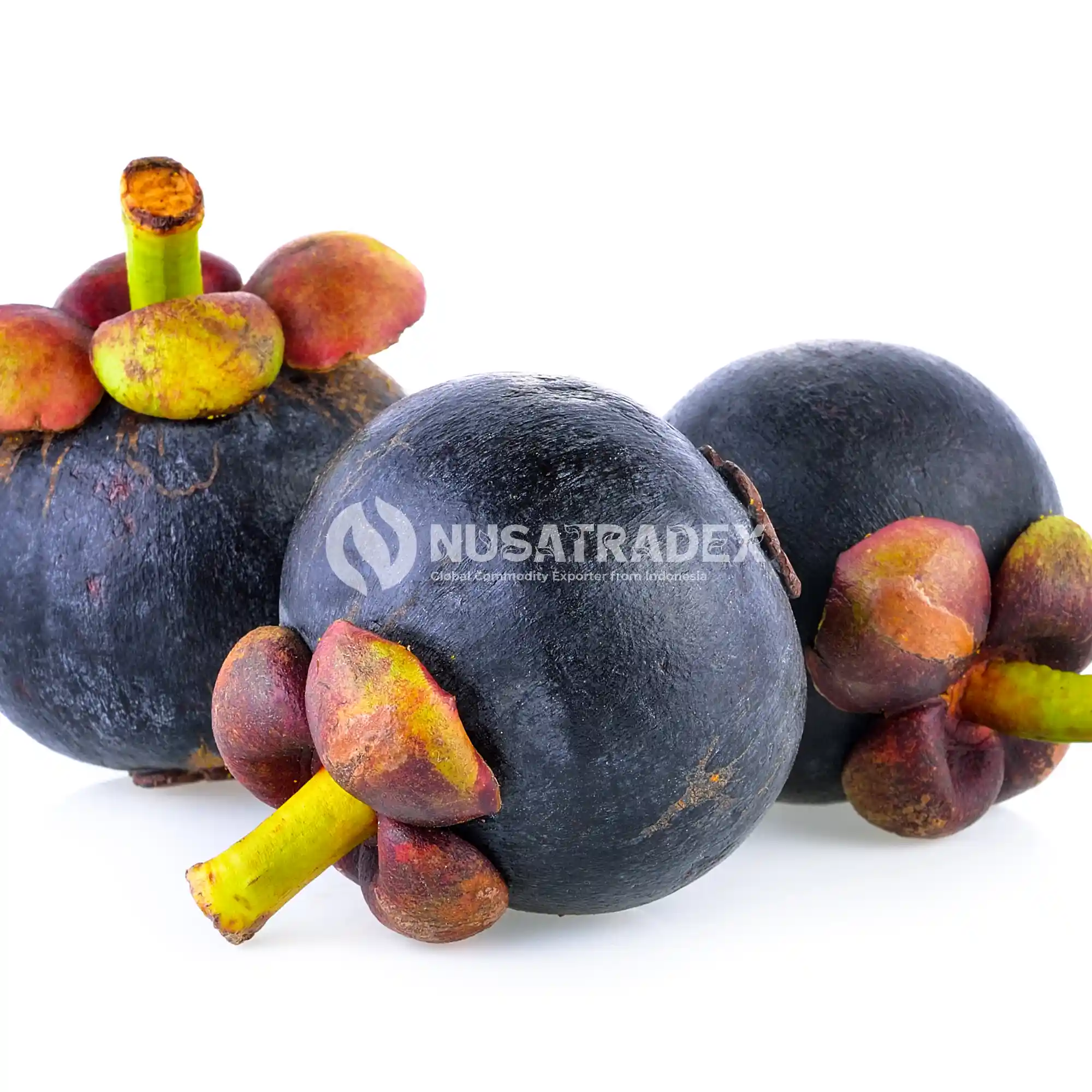 Mangosteen (Queen of Fruits)