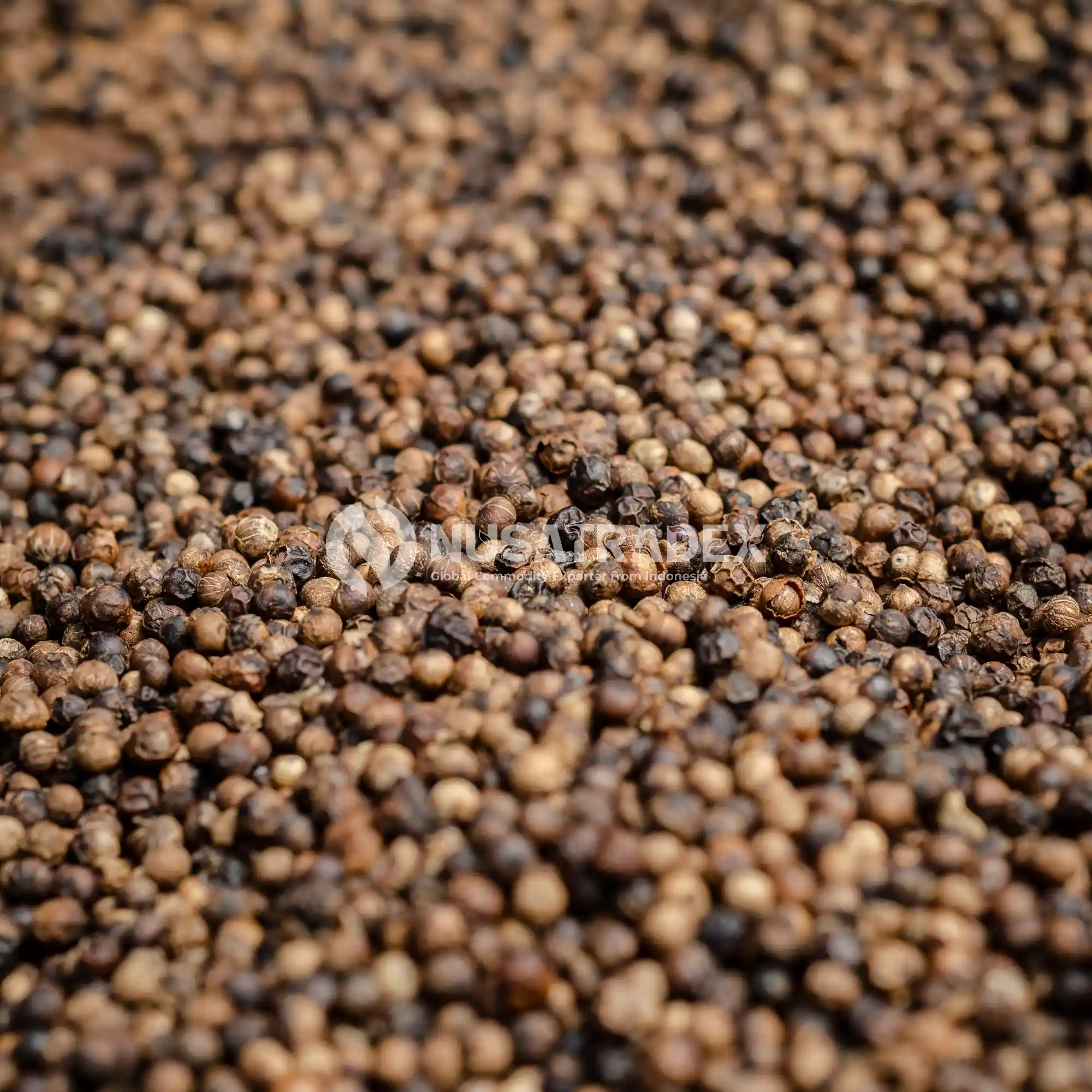 Lampung Black Pepper